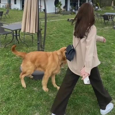 麻烦请你先告白