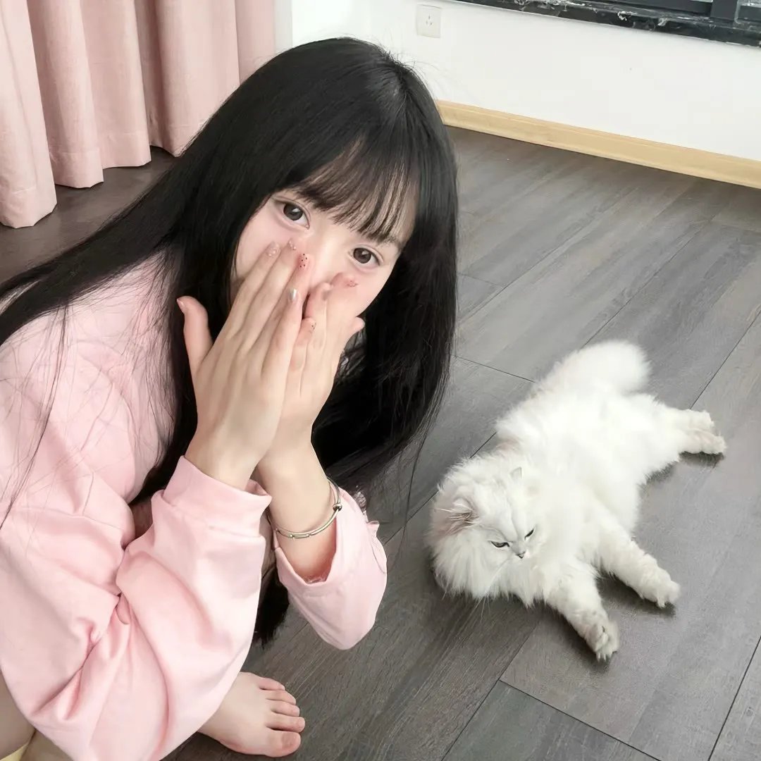 花篮花儿香